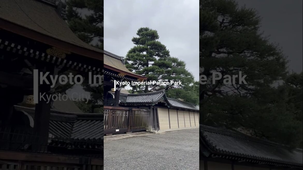 POV: You're at Kyoto Imperial Palace Park