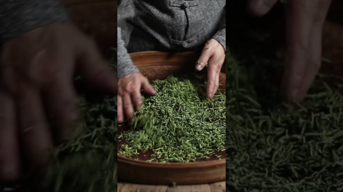 Three Incredible Destinations: Bali, Tokyo, and Paris