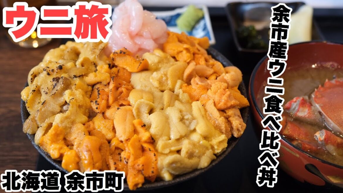 【ウニ旅!北海道 余市/積丹】ウニ乃世壱屋でウニ食べ比べ丼・ドーミーイン小樽で新様式バイキング・神威岬で積丹ブルーの海・らーめん みかんで味噌ラーメン。3~4か月ぶりの遠出で、思うままに食べ、観光!! 【ウニ旅!北海道 余市/積丹】ウニ乃世壱屋でウニ食べ比べ丼・ドーミーイン小樽で新様式バイキング・神威岬で積丹ブルーの海・らーめん みかんで味噌ラーメン。3~4か月ぶりの遠出で、思うままに食べ、観光!!