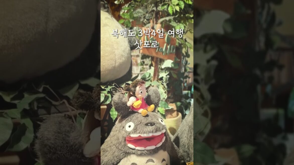 결혼 10주년, 수고한 당신과 나에게 주는 선물_북해도 3박4일 여행