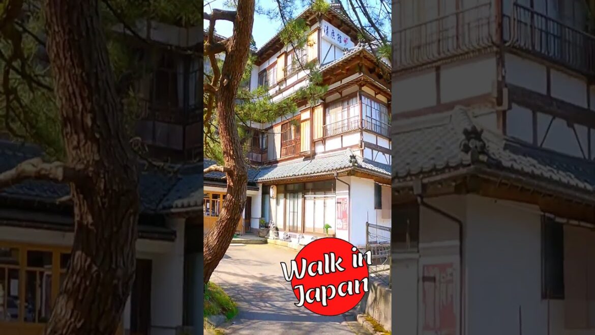 Japanese Hot Spring Hotel Looks Like Anime! #shorts #japan