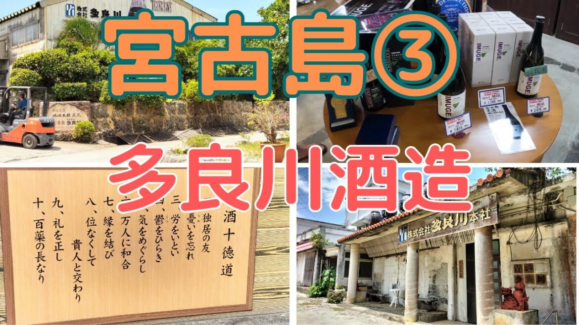 沖縄離島の旅 宮古島3(多良川酒造) 沖縄離島の旅 宮古島3(多良川酒造)