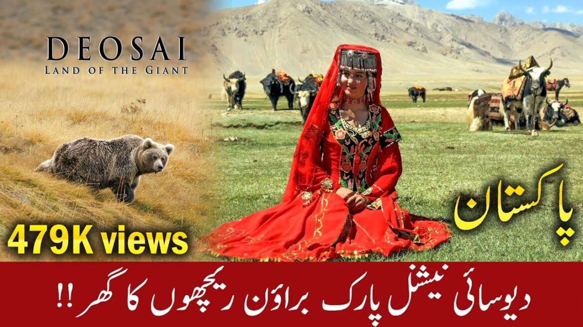 DEOSAI National Park Skardu, Northern Areas of Pakistan Documentary DEOSAI National Park Skardu, Northern Areas of Pakistan Documentary