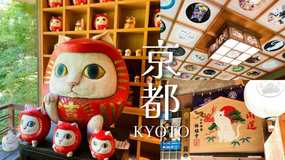 京都旅行＊猫猫寺 開運ミュージアム｜九頭竜神社｜京都塩もんじゃ｜お好み焼き［Trip vlog in KYOTO］