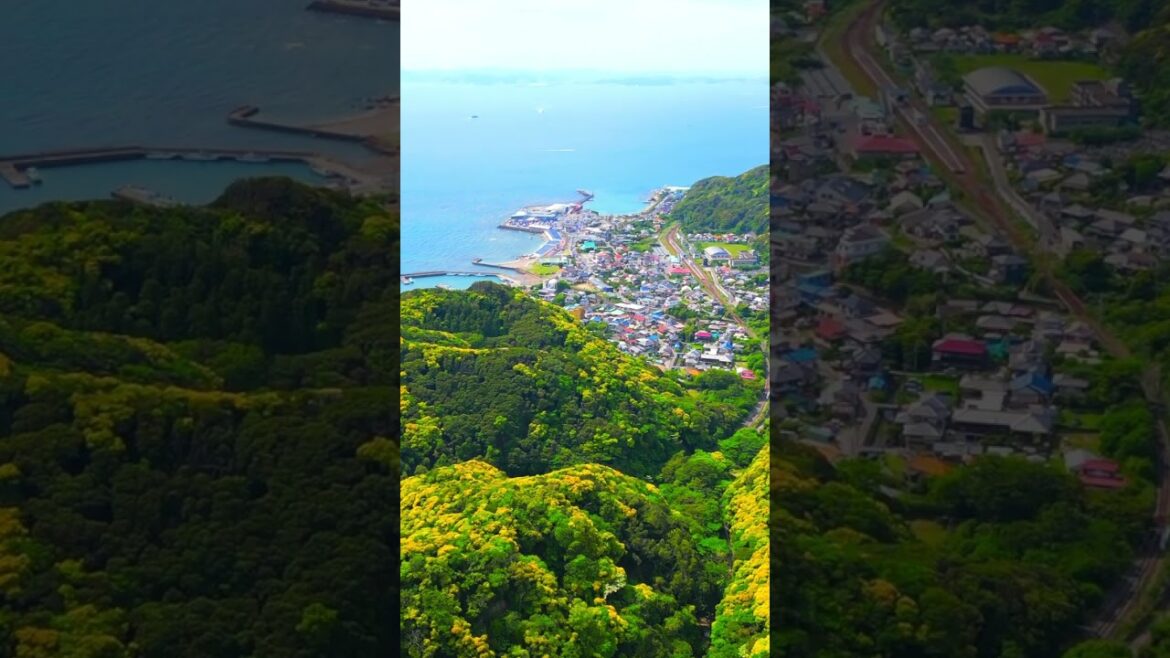 Drone x Japan - Chiba #shorts #japan #drone