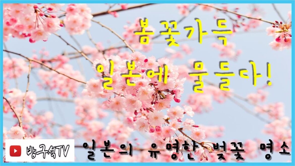 봄꽃가득 일본에 물들다! 일본의 유명한 벚꽃 명소 [방구석TV]