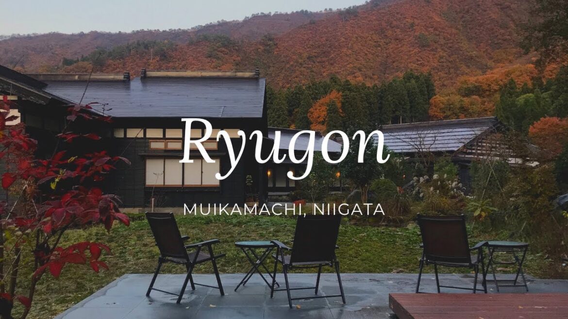 老舗旅館 龍言ryugon(新潟県六日町)宿泊記【Niigata Travel vlog】 Япония/Ниигата 老舗旅館 龍言ryugon(新潟県六日町)宿泊記【Niigata Travel vlog】 Япония/Ниигата