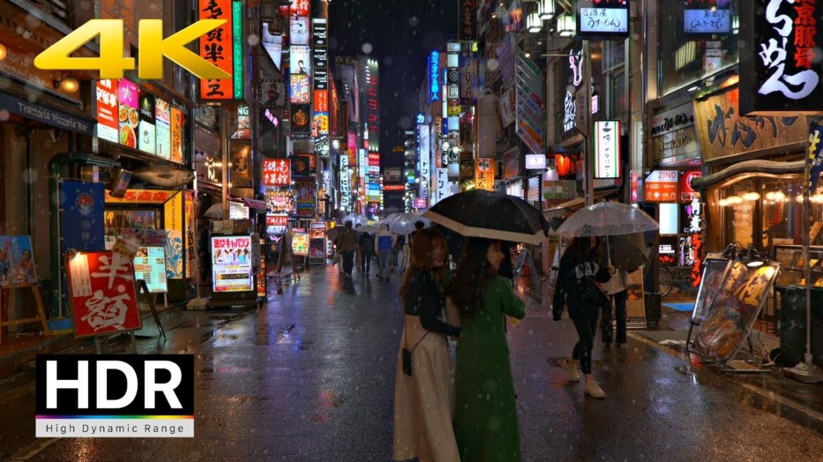 Rainy Night Walk in Shinjuku - Tokyo Nightlife 2023 [4K HDR Walking Tour]