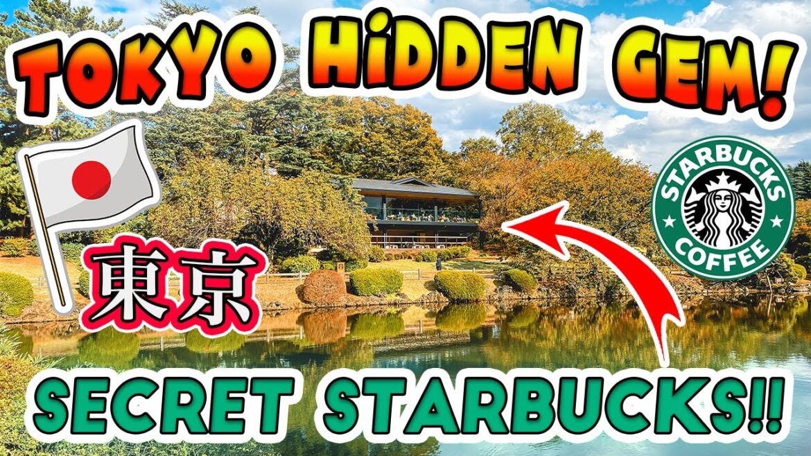 Tokyo’s Hidden Gems🇯🇵 A Tour of Secret Starbucks and Shinjuku Gyoen National Garden (新宿御苑) Tokyo's Hidden Gems🇯🇵 A Tour of Secret Starbucks and Shinjuku Gyoen National Garden (新宿御苑)