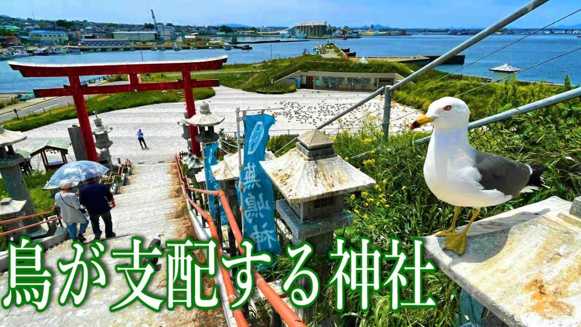 【旅Vlog】やっぱり青森って最高でしょ！Vol.1 ～八戸編～