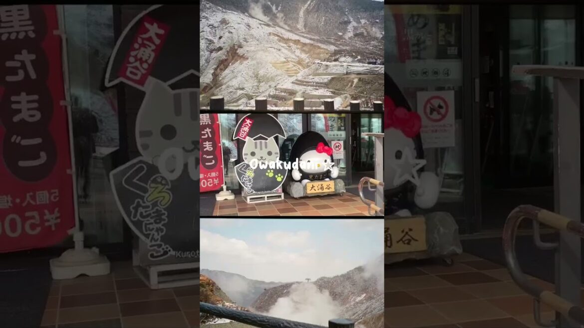 This place in Japan deserves more attention! Check out my new vlog of places that aren't Tokyo :)