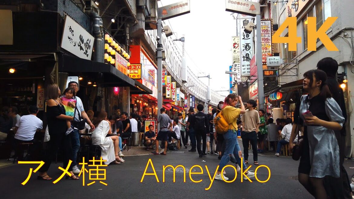 【4k】Tokyo walk-Ueno Ameyoko🌈 上野アメ横を散歩
