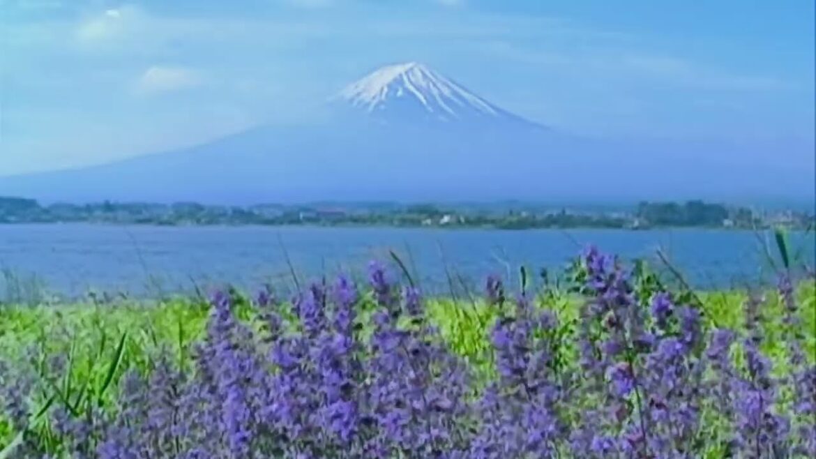 Mt. Fuji and Lake Kawaguchi - 富士山 河口湖畔