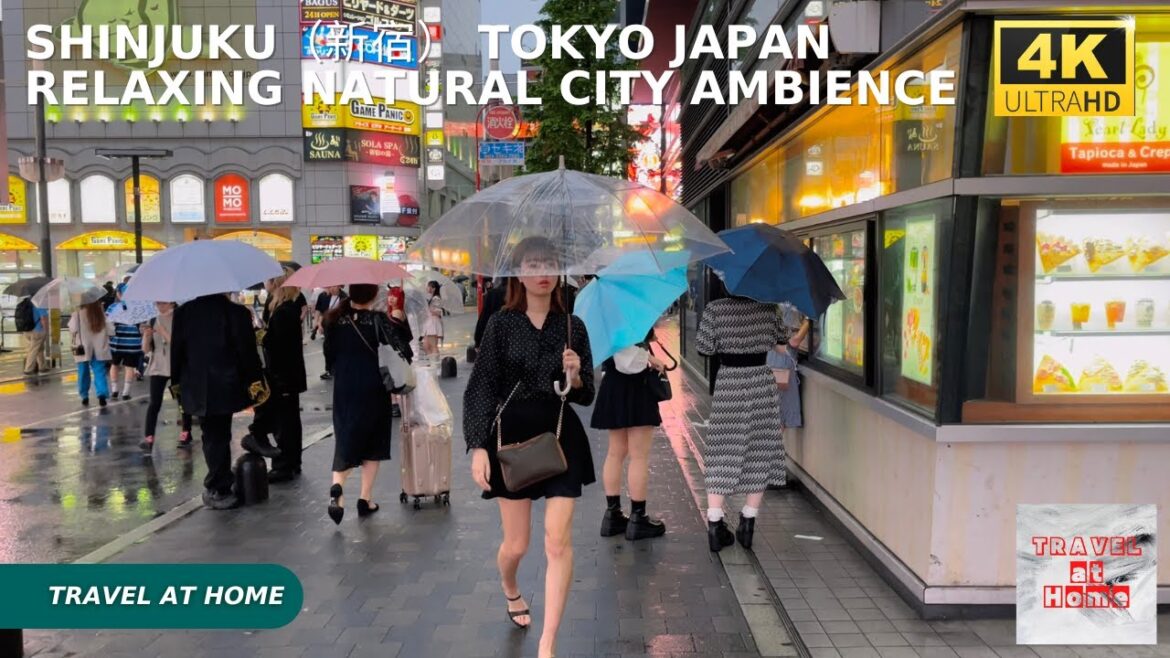 4k hdr japan travel | Night Walk in Shinjuku（新宿）Tokyo Japan |  Relaxing Natural City ambience