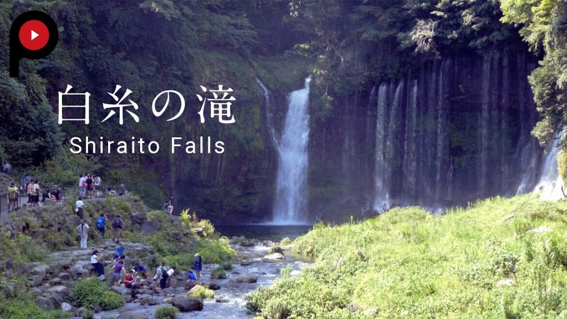 【 白糸の滝 】Shiraito Falls | The most beautiful Falls near Mt.Fuji