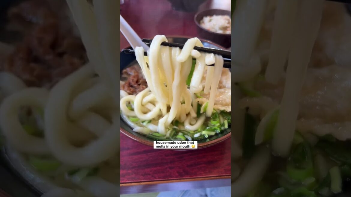 Day trip idea for Fukuoka – Yanagawa ππ¦ #japantravel #fukuoka Day trip idea for Fukuoka - Yanagawa ππ¦ #japantravel #fukuoka