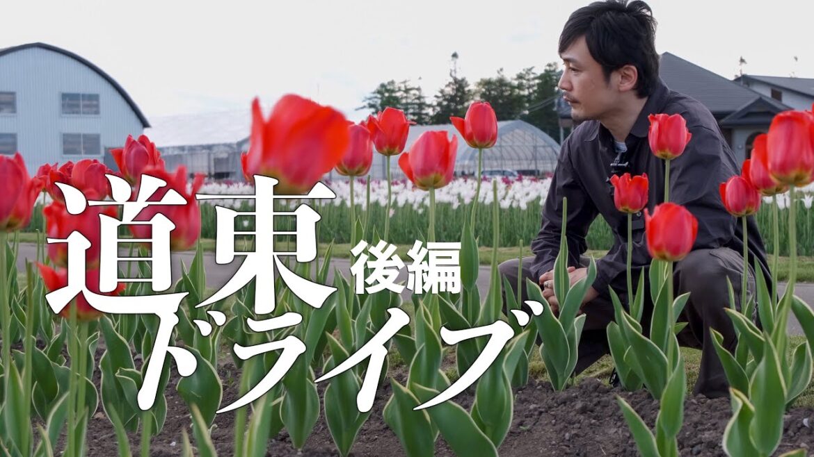 道東をドライブしながら質問返しをする旅(後編)|北海道独りドライブ 道東をドライブしながら質問返しをする旅(後編)|北海道独りドライブ