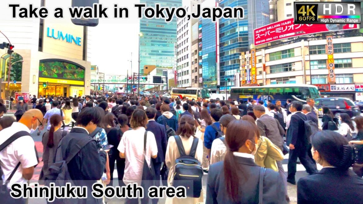 4K 60fps HDR// Take a walk in Tokyo, Japan,Shinjuku South Area→Shinjuku Musashino Dori→Shinjuku Dori 4K 60fps HDR// Take a walk in Tokyo, Japan,Shinjuku South Area→Shinjuku Musashino Dori→Shinjuku Dori