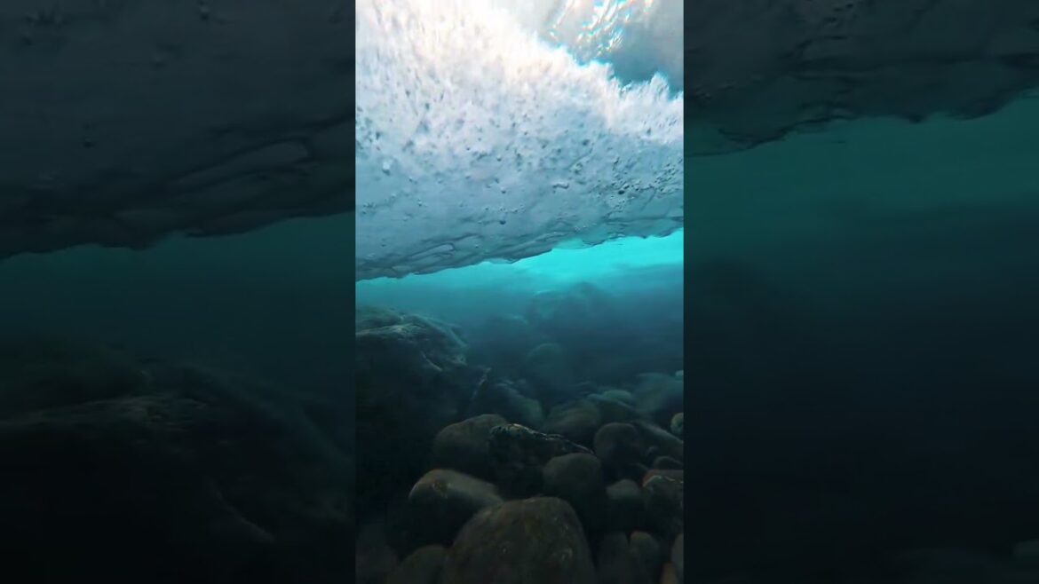 underwater seen who gusse😨😨🤿#shortvideo #trending #youtubeshorts #shorts