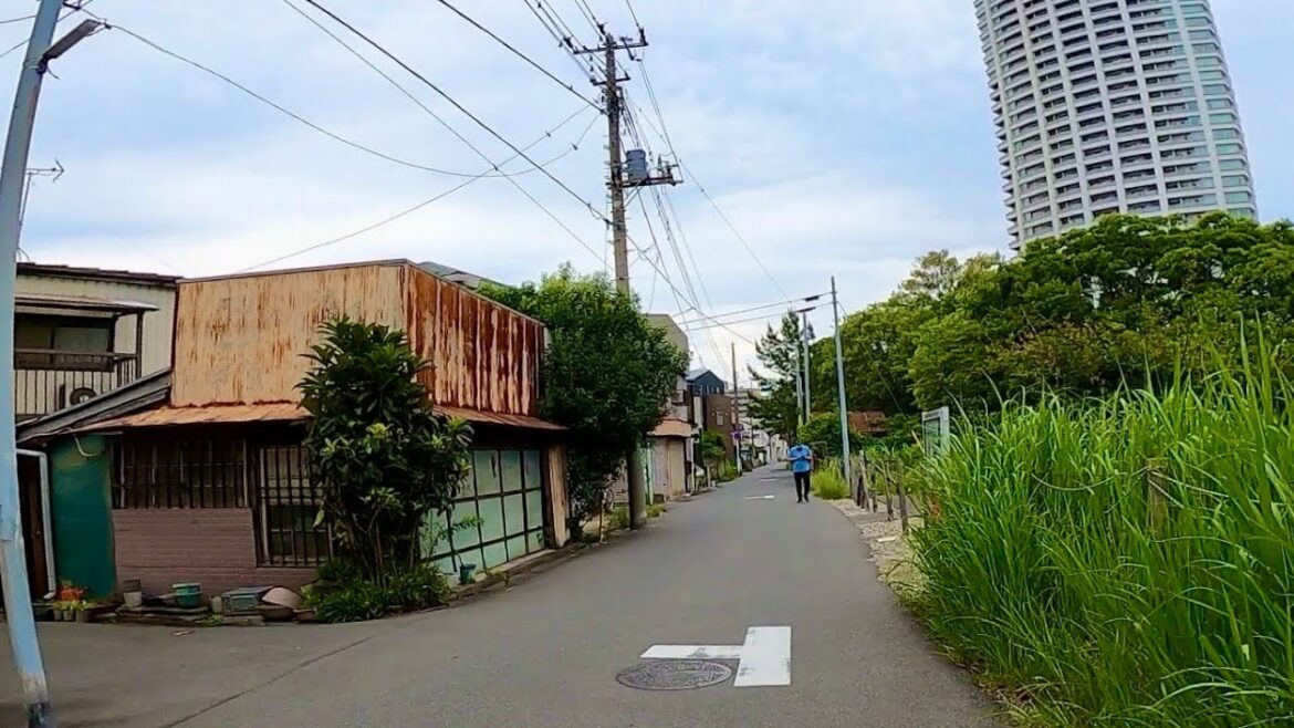 千葉県船橋市湊町-南本町を歩く 【前回の終着点”南船橋駅前”からスタートしてみるか編part 4】【散歩233】 千葉県船橋市湊町-南本町を歩く 【前回の終着点"南船橋駅前"からスタートしてみるか編part 4】【散歩233】