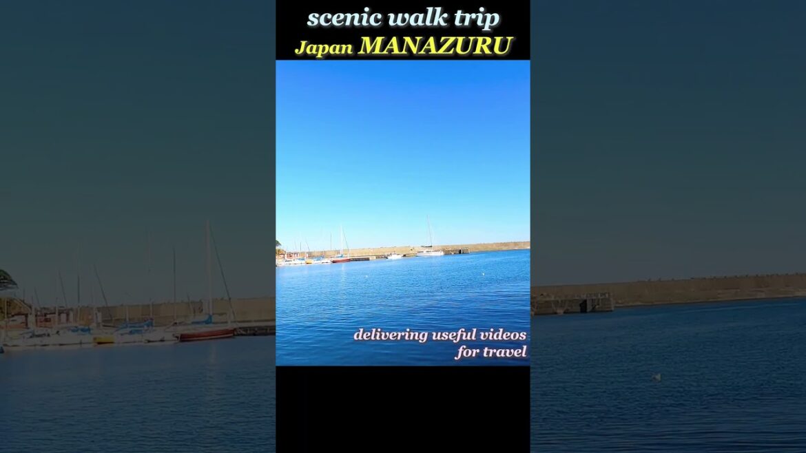 A quiet port town close to Tokyo in Japan #shorts #japan #travel #trip #walk #vlog