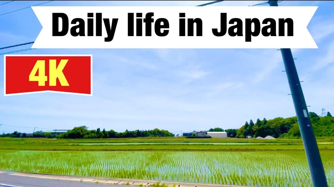 【4K】japan walking tour Kujukuri Town, Chiba Prefecture,日本の日常、千葉県九十九里町 【4K】japan walking tour Kujukuri Town, Chiba Prefecture,日本の日常、千葉県九十九里町