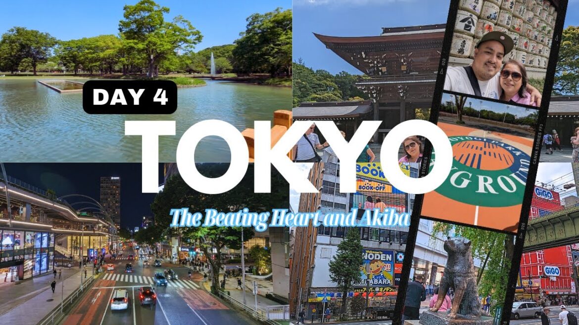 DAY 4 TOKYO – JAPAN 2023 DAY 4 TOKYO - JAPAN 2023