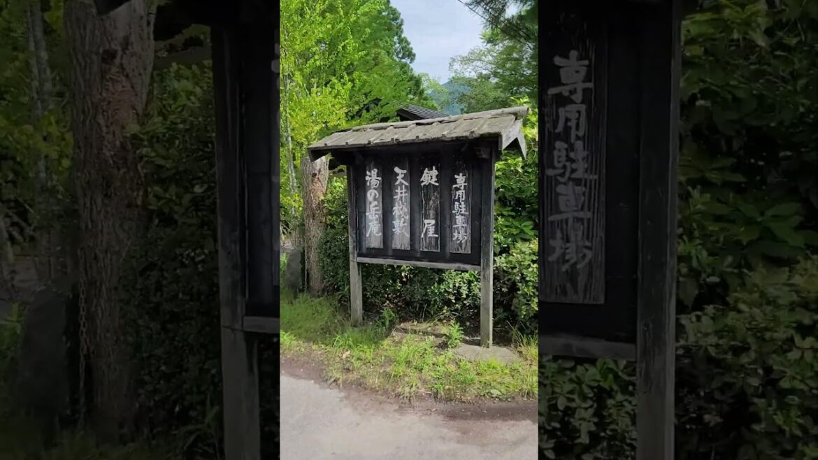 유후인 거리 걷기 (후쿠오카 여행) #Shorts 유후인 거리 걷기 (후쿠오카 여행) #Shorts