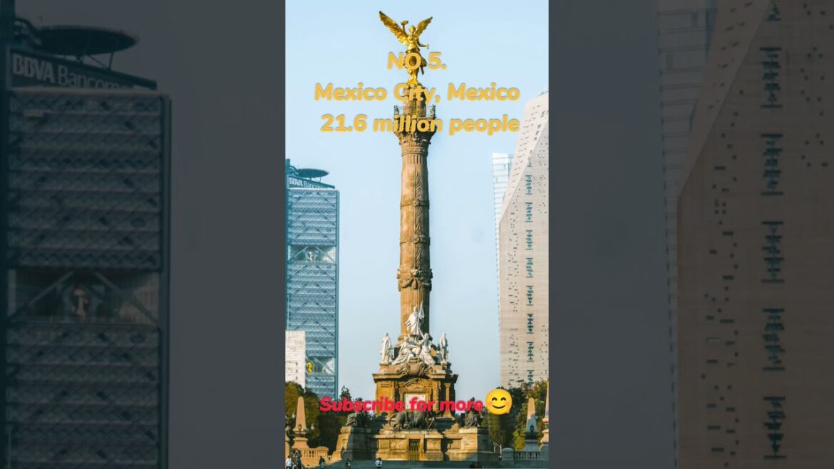 TOP 10 Biggest Cities in The World 2023 By Population #exploretheworld #travel #fact TOP 10 Biggest Cities in The World 2023 By Population #exploretheworld #travel #fact