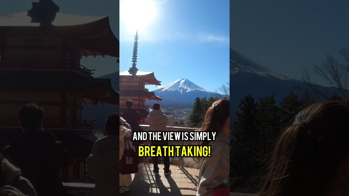 Breath Taking View of Mt. Fuji from Chureito Pagoda - Mt. Fuji Best Views #traveljapan #shorts
