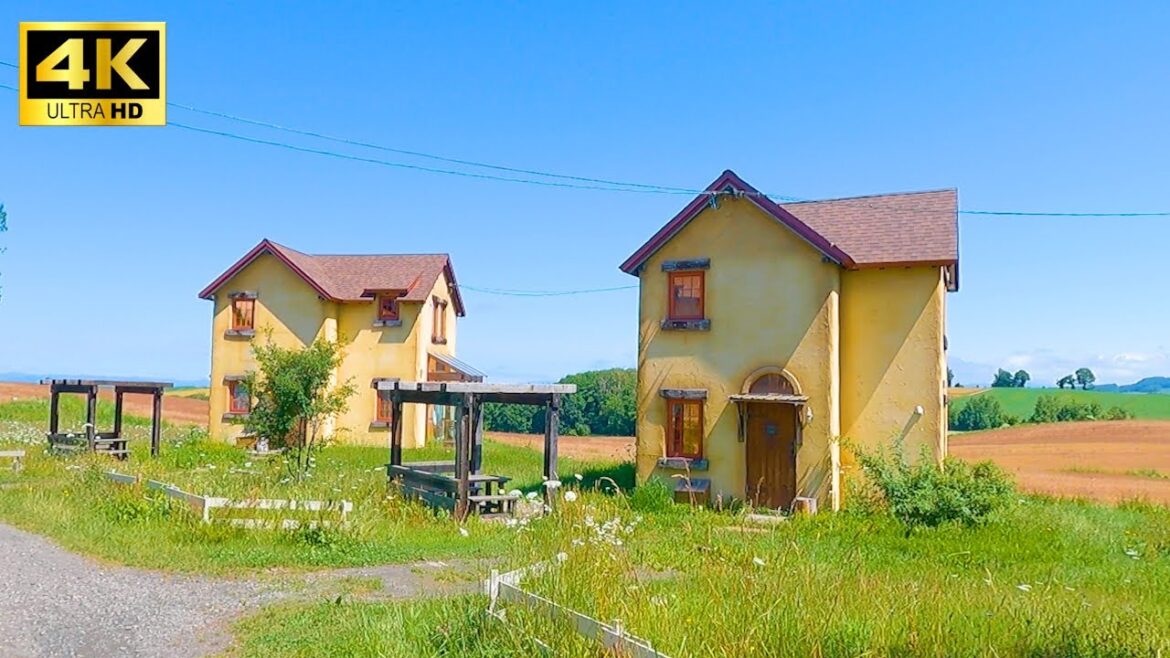 Hokkaido summer trip in Japan with lots of beautiful nature | vlog, travel, walk | vol.1 Hokkaido summer trip in Japan with lots of beautiful nature | vlog, travel, walk | vol.1