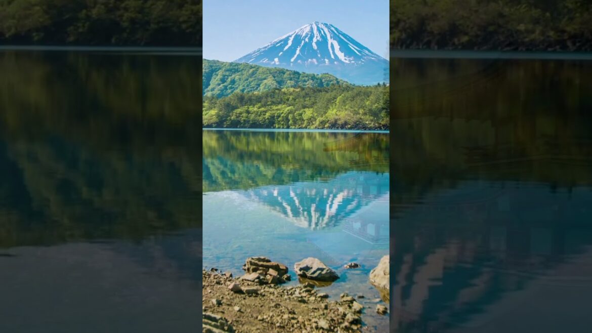The Timeless Beauty of Mount Fuji: A Serene Escape into Nature The Timeless Beauty of Mount Fuji: A Serene Escape into Nature