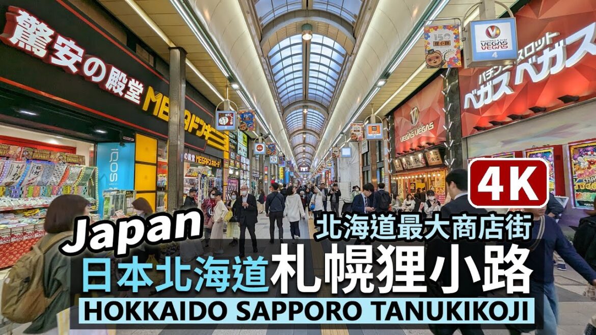 Japan／日本北海道「札幌狸小路商店街」Hokkaido Sapporo Tanukikoji Shopping Arcade お土產、藥妝、美食餐廳一整條，札幌市區最有名購物散策観光地／다누키코지