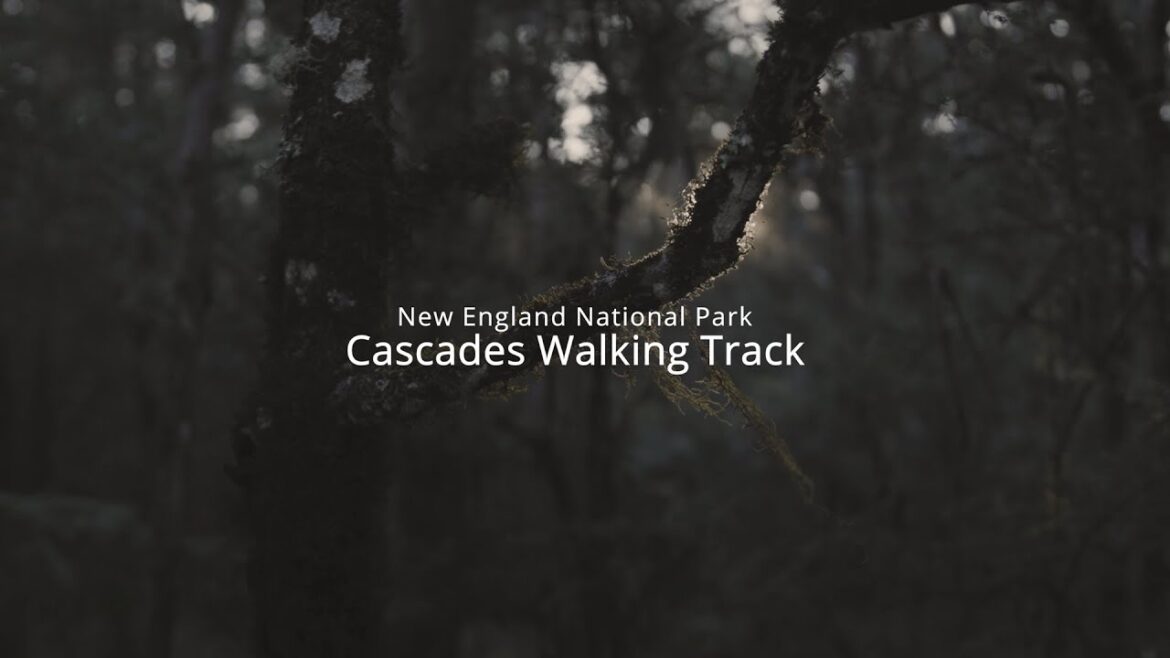 New England National Park - Cascades Walking Track | Sony FX30 |