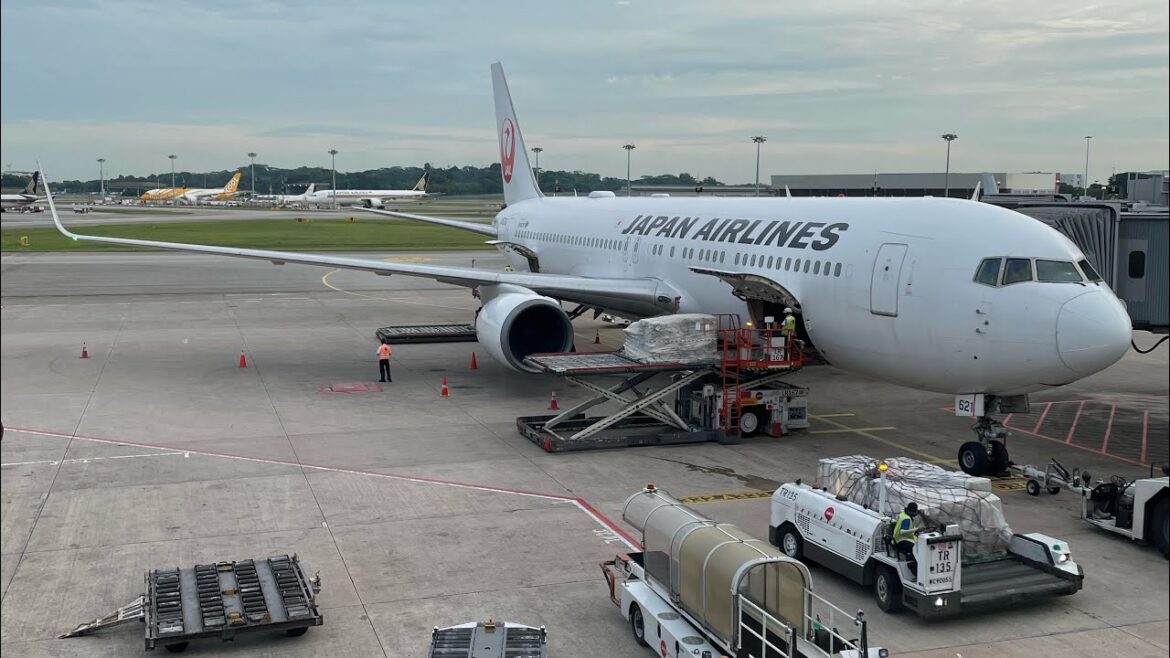 Is This The Best Economy Class? JAL Singapore to Tokyo Narita Is This The Best Economy Class? JAL Singapore to Tokyo Narita