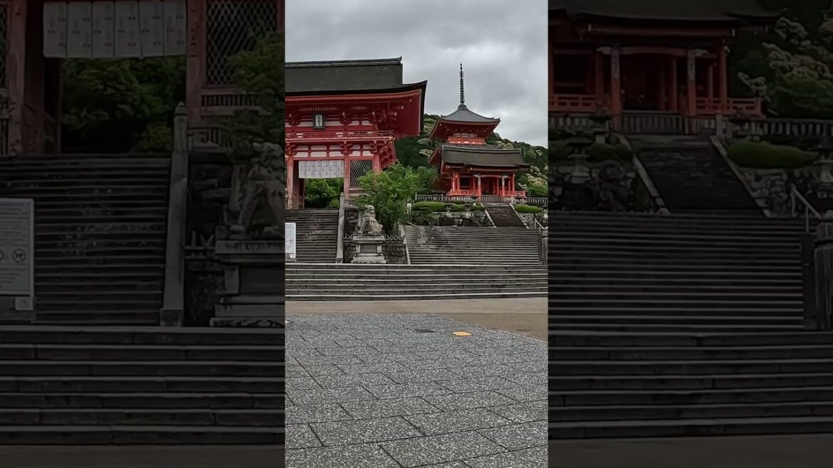 Quiet and Peaceful Morning in Kyoto Japan Kiyomizu-dera #shorts