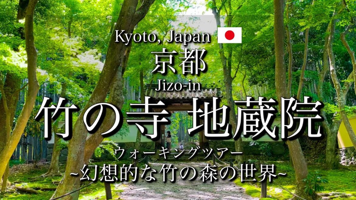 [京都|Kyoto]"竹の寺 地蔵院"を観光｜美しい緑の世界を散策｜"Jizo-in" Walking Tour(Vlog)