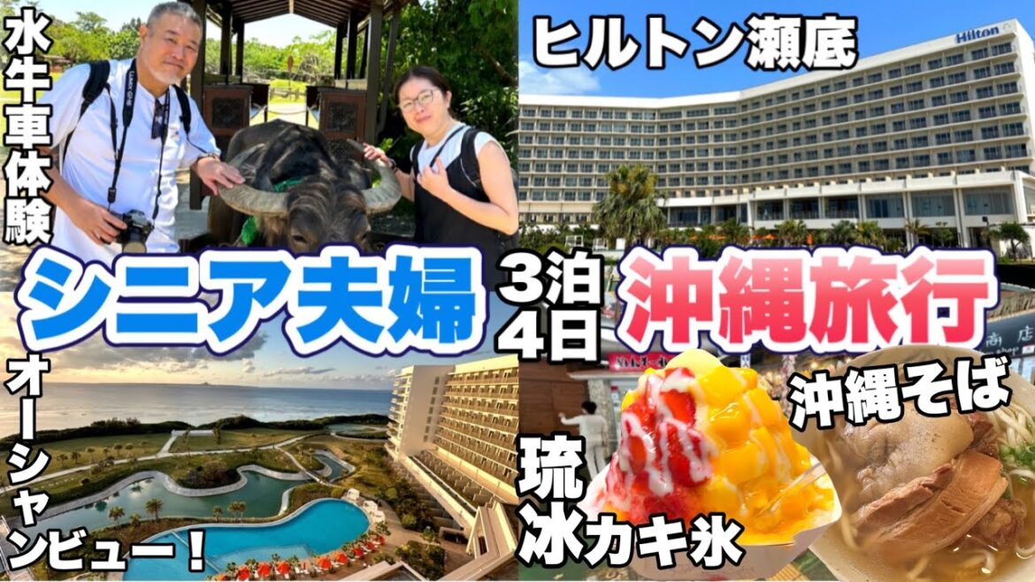 シニア夫婦沖縄旅行3泊4日おすすめスポットB級グルメ、ヒルトン瀬底リゾート宿泊記vlog2023年4月② シニア夫婦沖縄旅行3泊4日おすすめスポットB級グルメ、ヒルトン瀬底リゾート宿泊記vlog2023年4月②