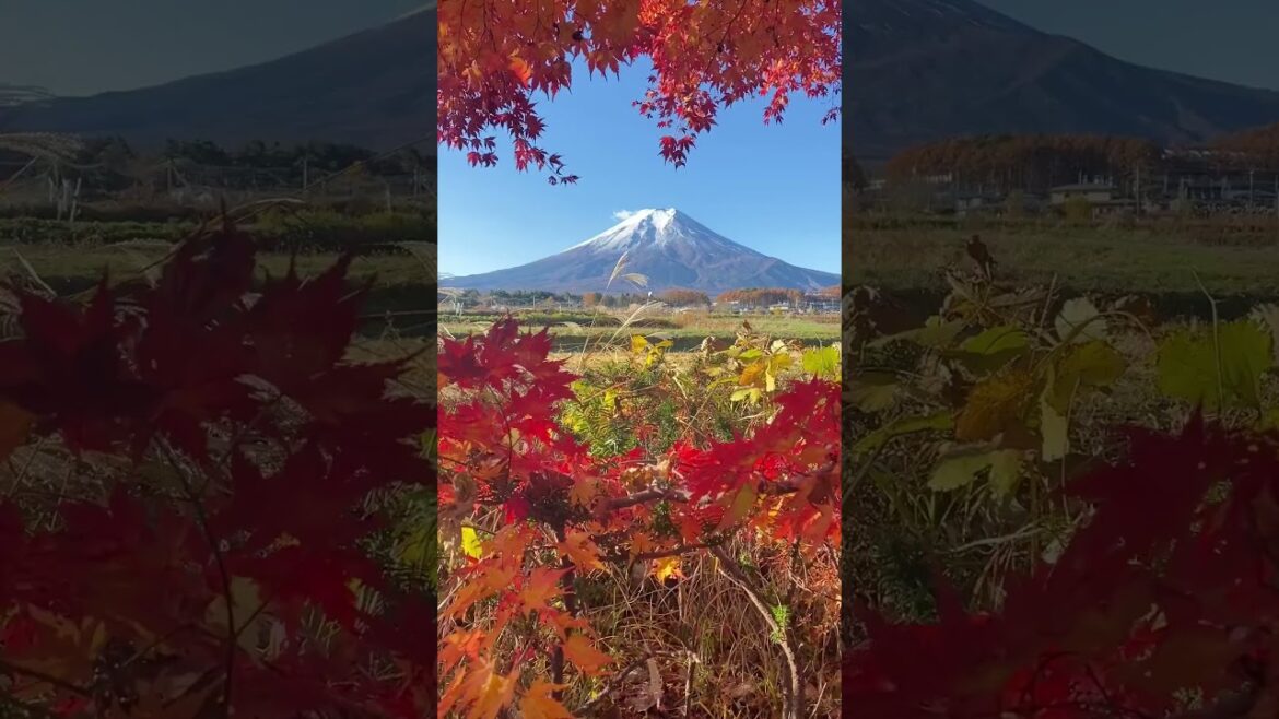 Mount Fuji is truly spectacular