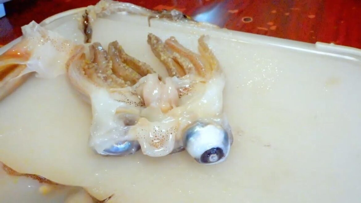 Japanese street Food,THESE Squids ARE TASTY INTO SASHIMI WITH POTATOES,#seafood