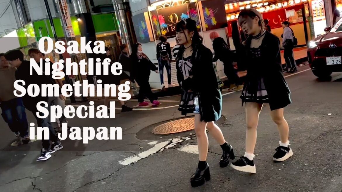 Osaka Nightlife Japan! Midnight tour in pleasure zone