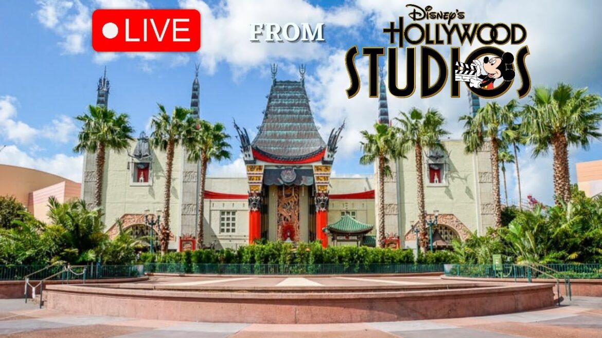 🔴 LIVE from HOLLYWOOD STUDIOS