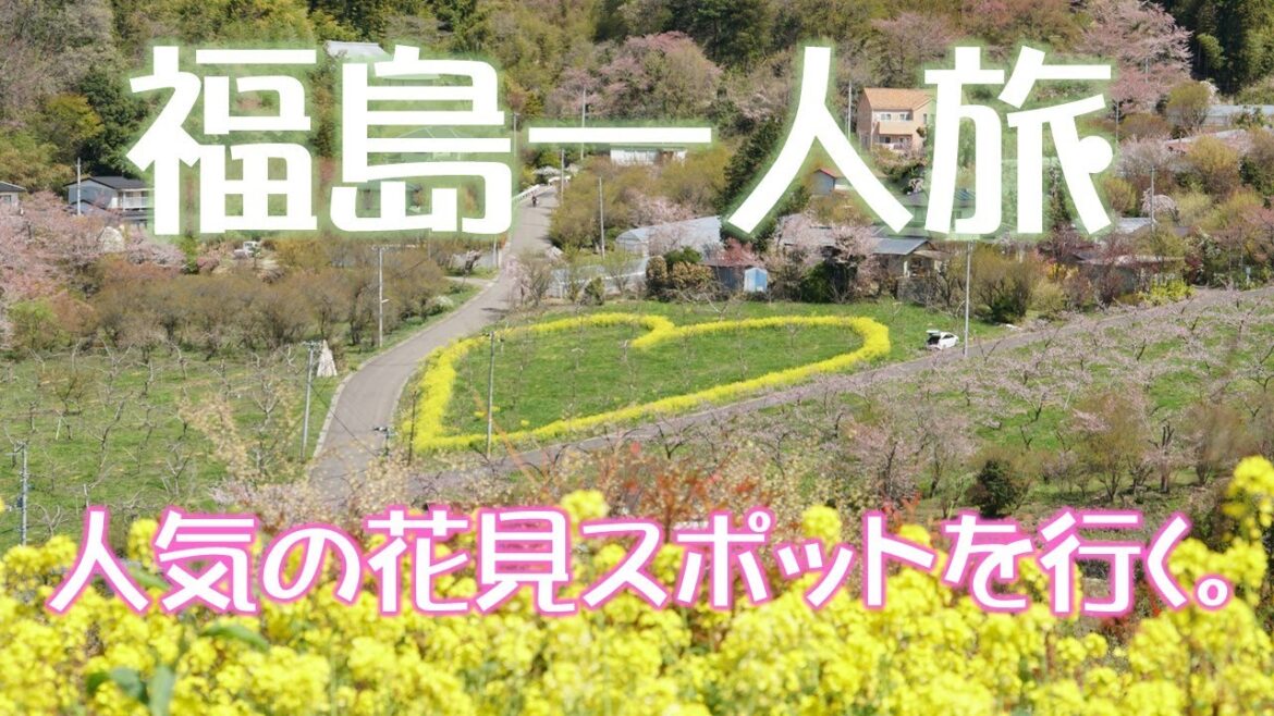 #24 【福島一人旅】福島に桃源郷あり　花見山公園（福島市）
