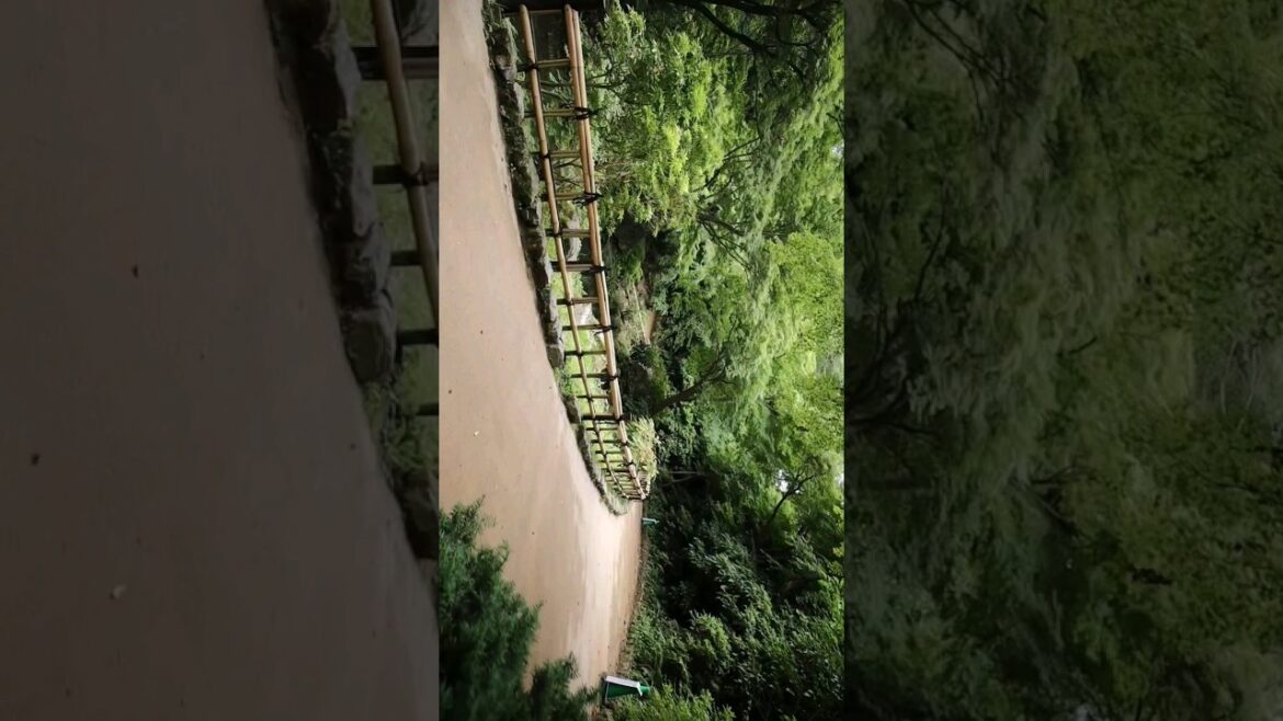 มาเดินเล่นกับผมไหมครับ ⛩️