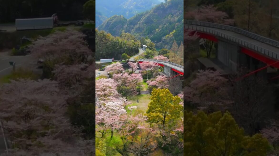 Drone x Japan - Kochi #shorts #japan #drone