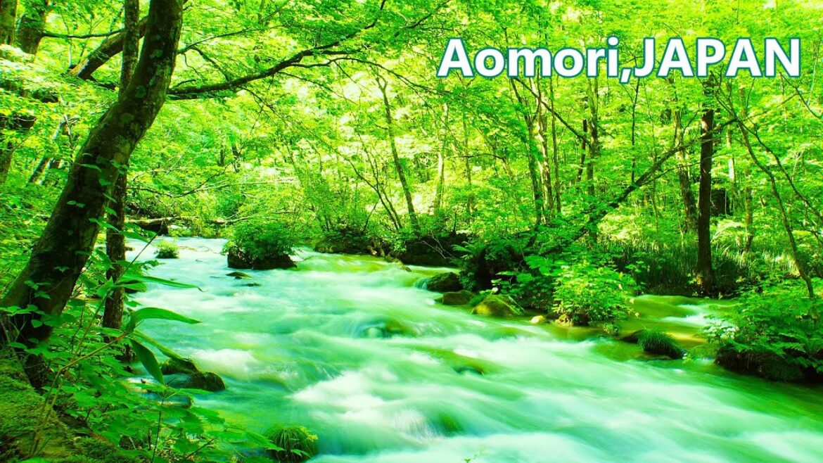 Welcome to the most beautiful mountain stream in Japan, overflowing with natural beauty