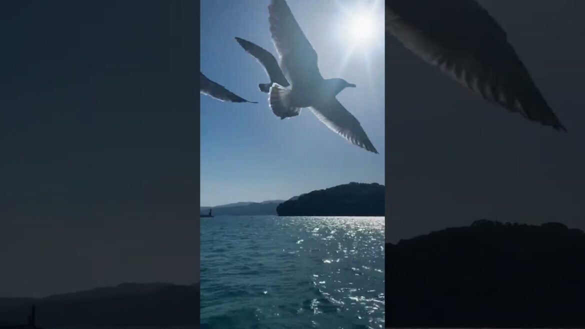 JAPAN UNVEILED: Explore the Top Must-Visit Destinations in the Land of the Rising Sun! "JAPAN UNVEILED: Explore the Top Must-Visit Destinations in the Land of the Rising Sun!"