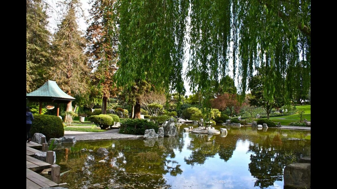 Go For a Stroll in the Japanese Friendship Garden