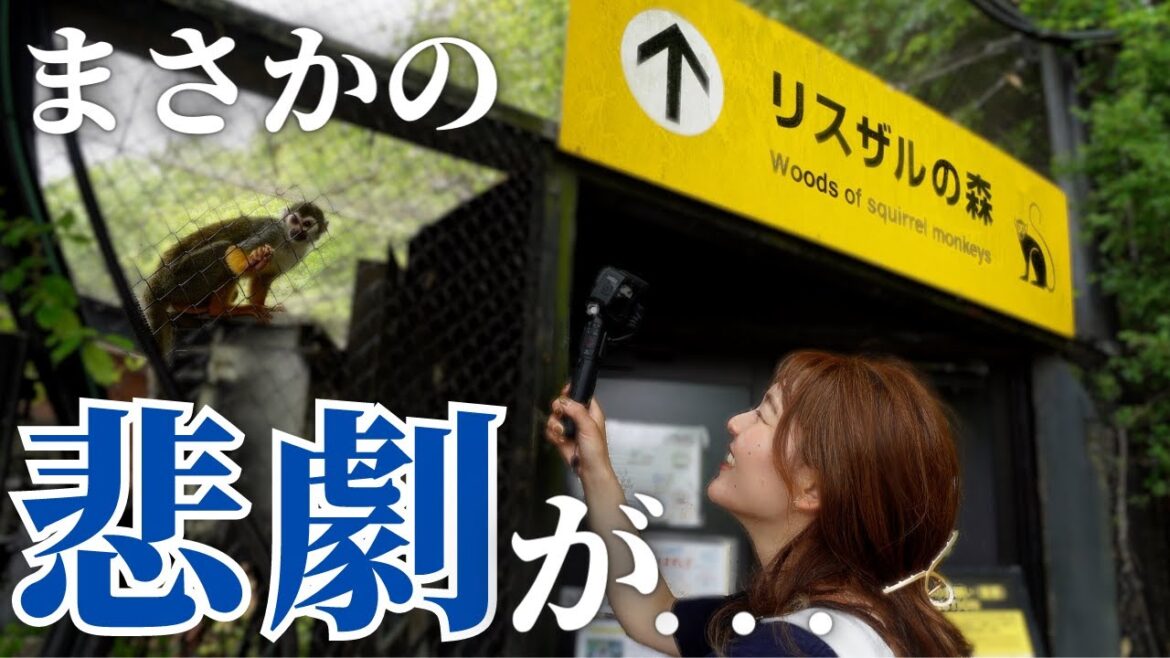 旅の疲れを癒しに来たはずなのにどうしてこんなことに。【日本一周】 旅の疲れを癒しに来たはずなのにどうしてこんなことに。【日本一周】