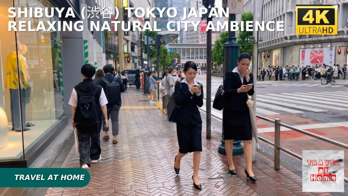 4k hdr japan travel | Walk in Shibuya (渋谷) Tokyo japan |  Relaxing Natural City ambience